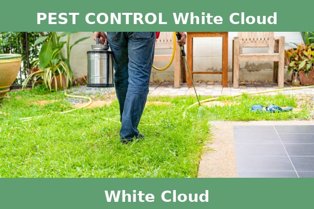 PEST CONTROL White Cloud